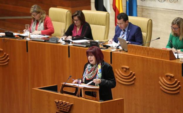 El PP dice que el PSOE ha dejado a Jerez sin 300.000 euros en inversiones por rechazar sus enmiendas a los PGEx19