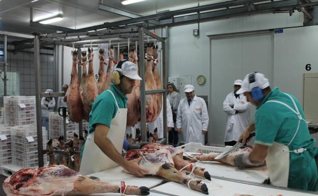 Los socios del gran matadero de ibérico quieren Zafra por los problemas en Alconera