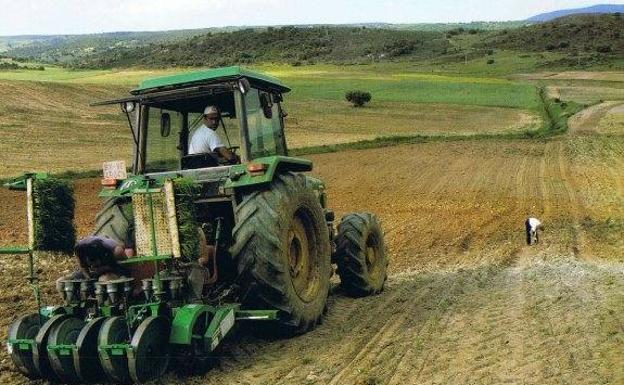 El ECJ propone, para septiembre, el curso 'Plaguicida de uso agrícola cualificado'