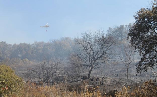 El Conventual San Agustín acoge este lunes una charla sobre prevención de incendios en zonas habitadas