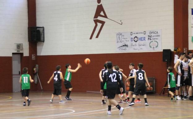El Club Baloncesto 'Xerixia' celebra un Campus de Navidad los días 23, 24, 26 y 30 de diciembre