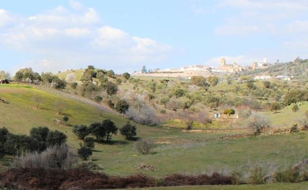El Ayuntamiento invita a la población a plantar encinas este domingo en la dehesa boyal