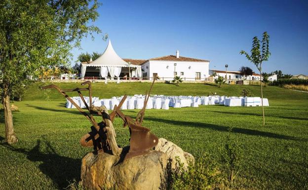 La hostelería de Jerez afronta su reapertura con pérdidas acumuladas y gran incertidumbre
