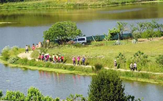 La crisis del COVID-19 sigue tachando eventos tradicionales en el calendario deportivo jerezano