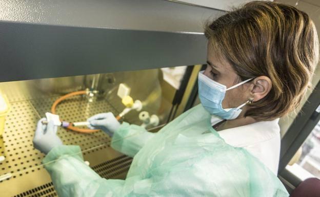 Jerez de los Caballeros registra dos casos positivos por coronavirus