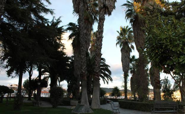 Jerez registra una racha de viento de 79 kilómetros por hora