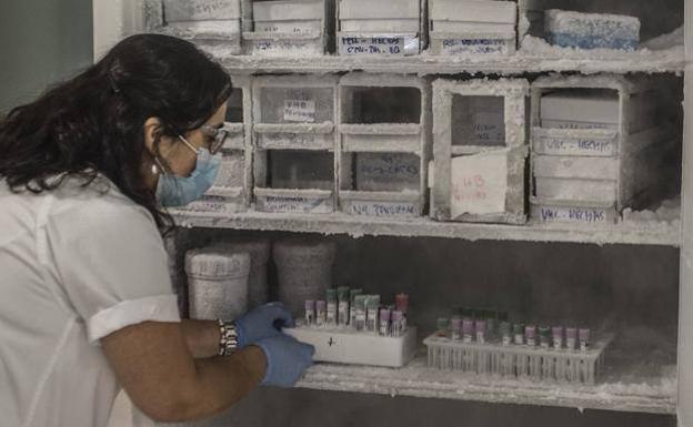Salud Pública notifica 12 nuevos casos positivos en Jerez y 1 en La Bazana