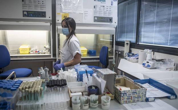 Jerez registra 4 nuevos casos positivos por Covid-19 en esta última jornada