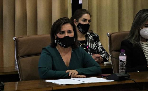 «Esta moción de censura ha venido a paralizar la dinámica y buena gestión que hemos llevado a cabo»