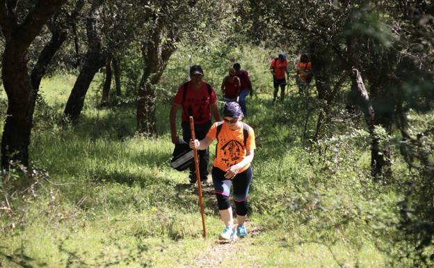 La XII 'Ruta Templaria' se celebrará el 2 de mayo con un recorrido por las 'Minas de la Bóveda'