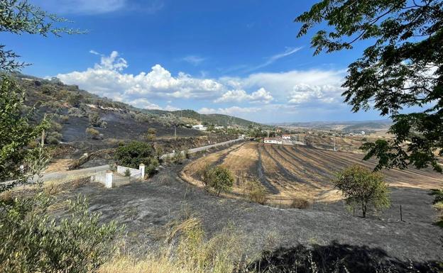 Desactivado el nivel 1 de peligrosidad en el incendio de Jerez