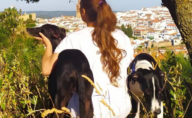 La Protectora de Animales y Plantas de Jerez organiza este domingo, 11 de julio, la I 'Perruta Solidaria'