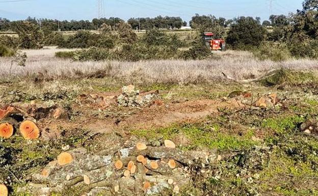 Cristian Lay inicia los trabajos previos de la fábrica de envases en Navalmoral