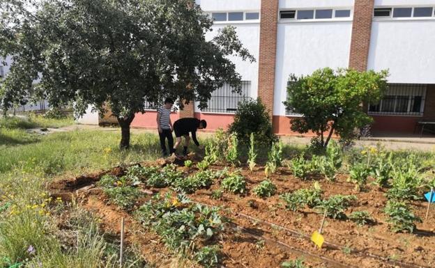 El IES 'Ramón Carande', reconocido como centro impulsor de la economía verde y circular por la Junta de Extremadura