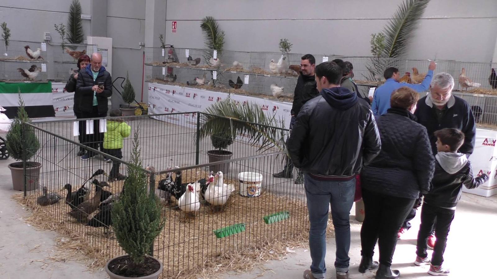 El próximo fin de semana, la segunda edición de Expoaves