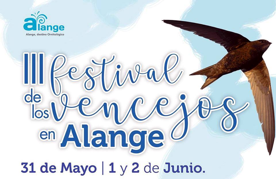 Alange se prepara para celebrar el III Festival de los Vencejos