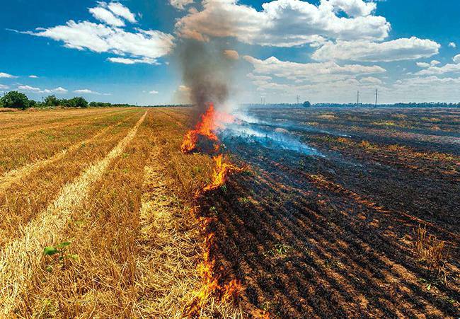 Desde este sábado está prohibido quemar rastrojos y hacer barbacoas en el campo