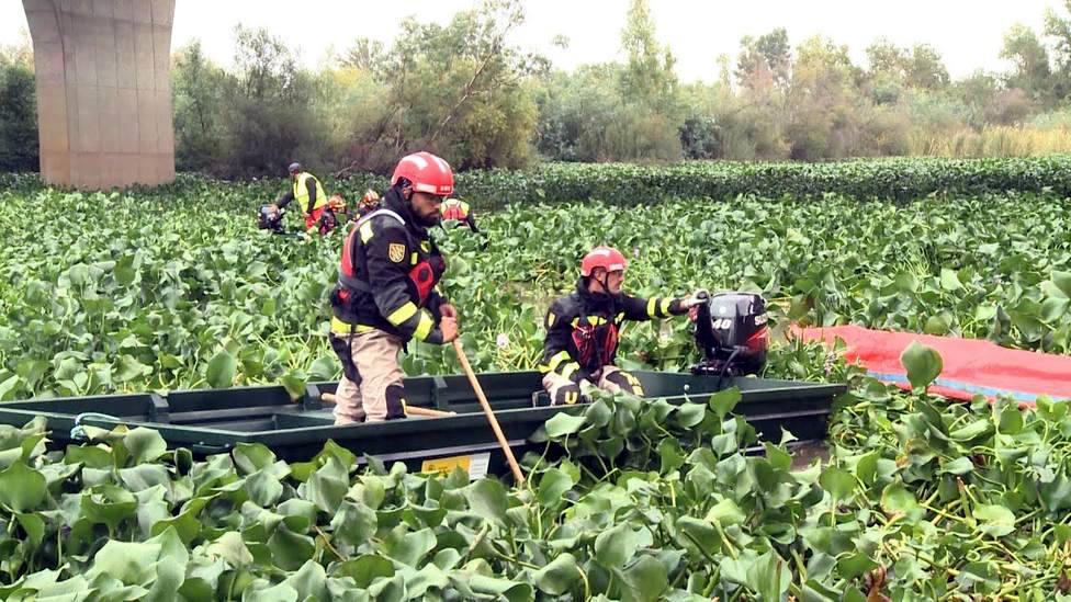 La UME retirará el camalote del Guadiana entre Medellín y Mérida
