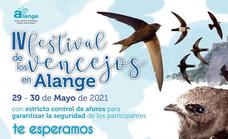 Alange celebra este fin de semana una nueva edición del Festival de los Vencejos