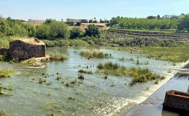Asaja y Confederación difieren sobre el desembalse del pantano de Alange