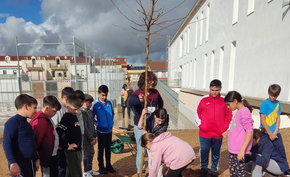 Alumnos del colegio plantan 15 árboles en el patio escolar