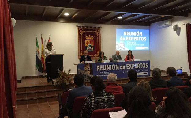 Llerena acoge la 'Reunión de Expertos' de la Sociedad Extremeña de Cardiología