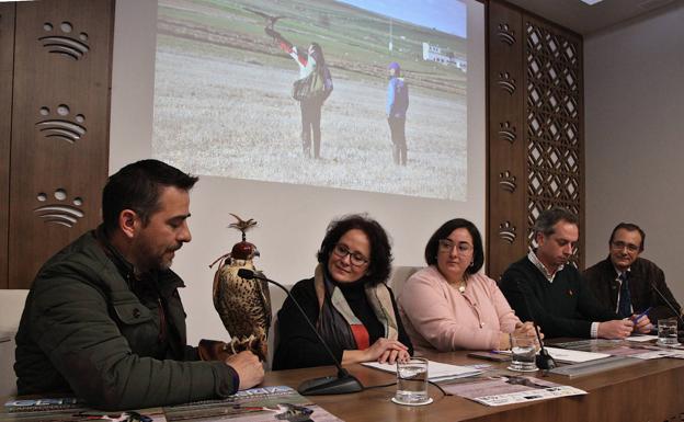 Llerena acoge su sexto Campeonato de Extremadura de Cetrería