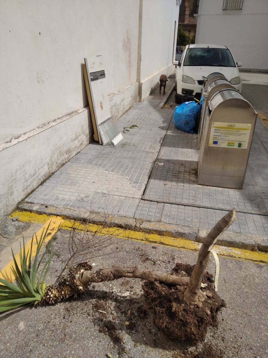El consistorio denuncia los comportamientos incívicos
