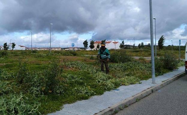 Comienza el desbroce de terrenos en Llerena