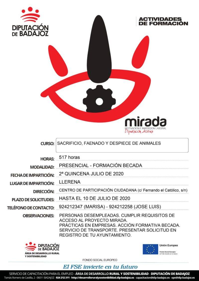 Llerena acoge un curso para aprender a sacrificar, faenar y despiezar animales
