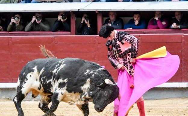 El Chorlo llega a la final del tentadero 'Las raíces del toreo'