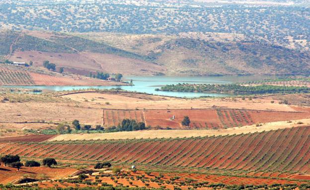 El Pantano de Los Molinos, que abastece a Llerena, en prealerta