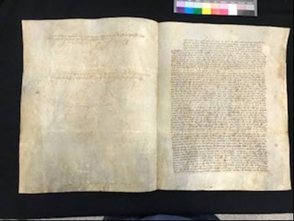 Ampliado hasta 1666 los nuevos protocolos del Archivo Municipal