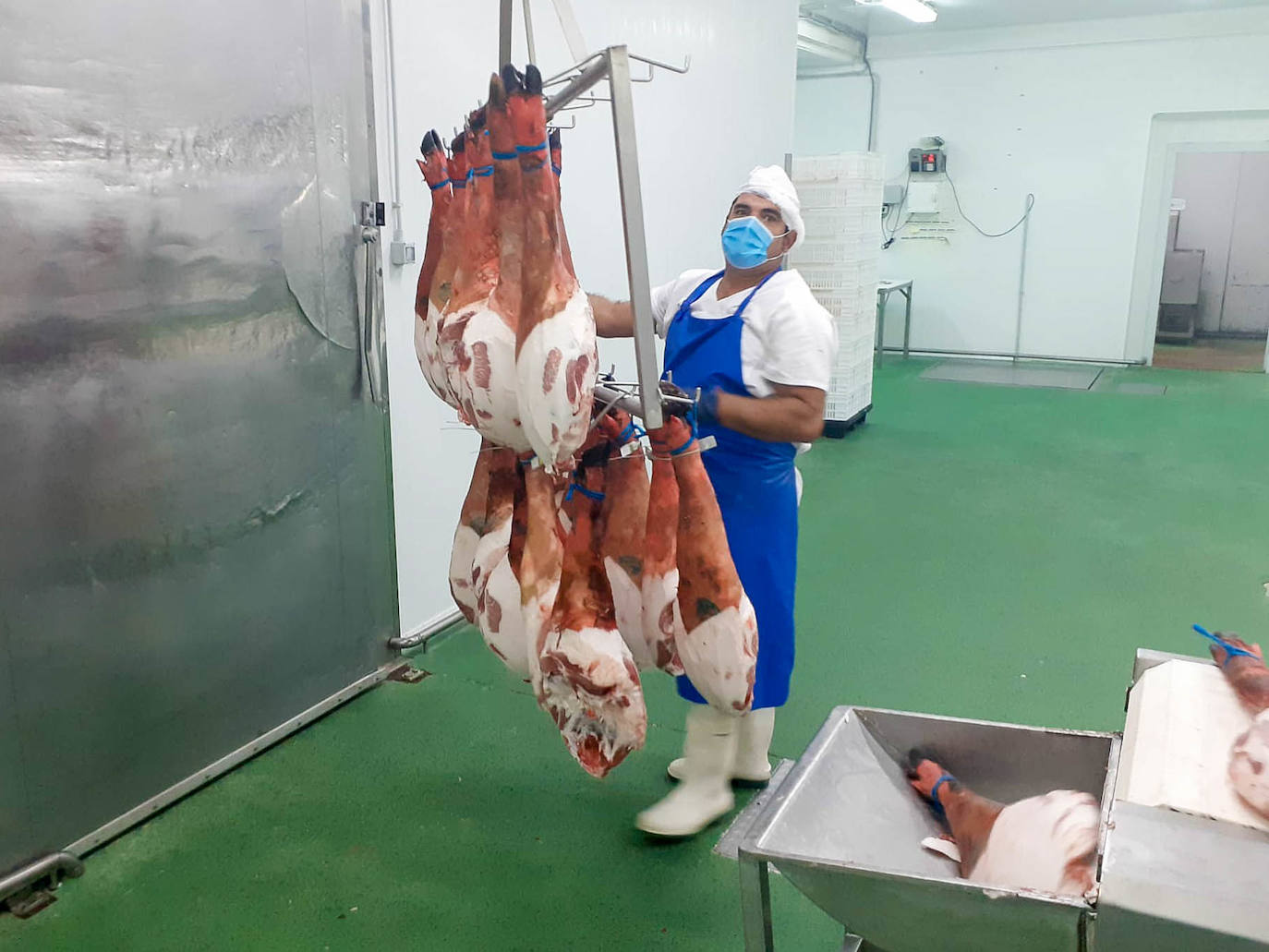 Nueve alumnos del curso de 'Sacrificio, faenado y despiece' ya trabajan