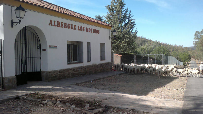 Se adjudican las obras de adecuación a Los Molinos