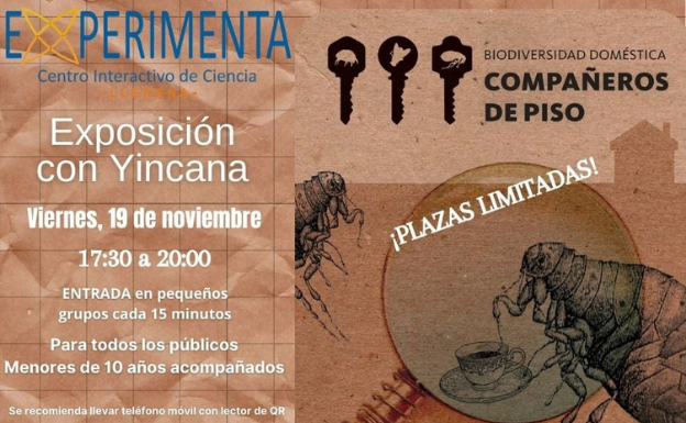 Experimenta organiza el viernes la actividad 'Biodiversidad doméstica. Compañeros de piso'