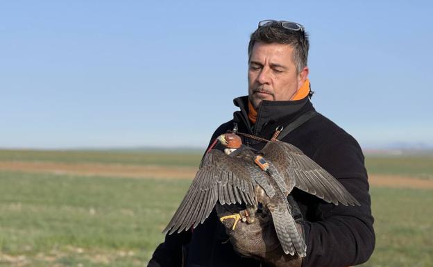 Llerena corona a los mejores cetreros de España y Extremadura