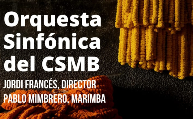 Este sábado, concierto de la orquesta sinfónica del Conservatorio Superior de Música de Badajoz 'Bonifacio Gil' en Llerena