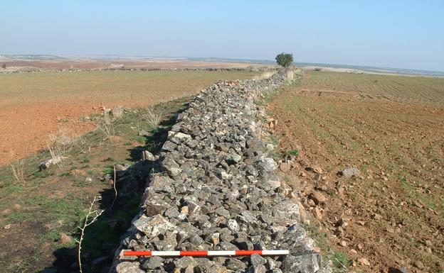 El Pedrosillo, un «yacimiento romano estrella» oculto en la Campiña Sur