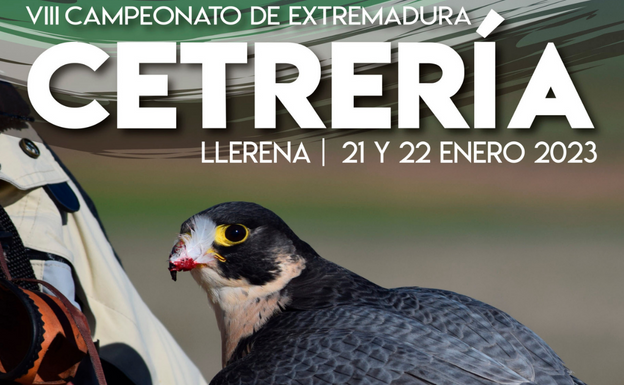 Llerena acoge este fin de semana el Campeonato de Extremadura de Cetrería