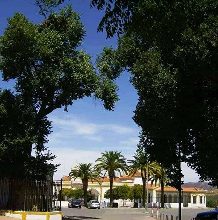 La Cofradía de la Estrella organiza los viernes, en el Santuario, 'charlas de adviento'