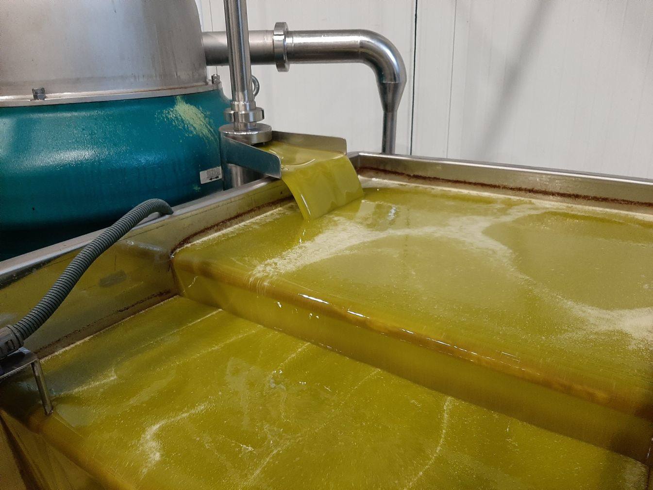 La almazara de la Cooperativa, marca su record histórico con 25,5 millones de kilos de aceituna molturada