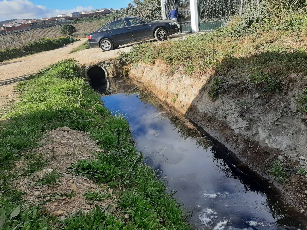 Los vecinos de la zona del Cañito vuelven a denunciar los vertidos de alpechines procedentes del Portazgo
