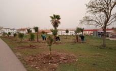 El Ayuntamiento ha plantado unos 5.000 árboles y plantas en la localidad en lo que va de legislatura
