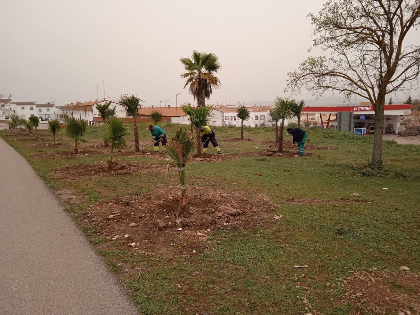 El Ayuntamiento ha plantado unos 5.000 árboles y plantas en la localidad en lo que va de legislatura