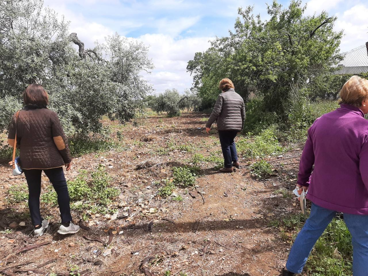 Los santeños buscan por campos y caminos la cabeza de la Virgen de la Estrella que sigue sin aparecer