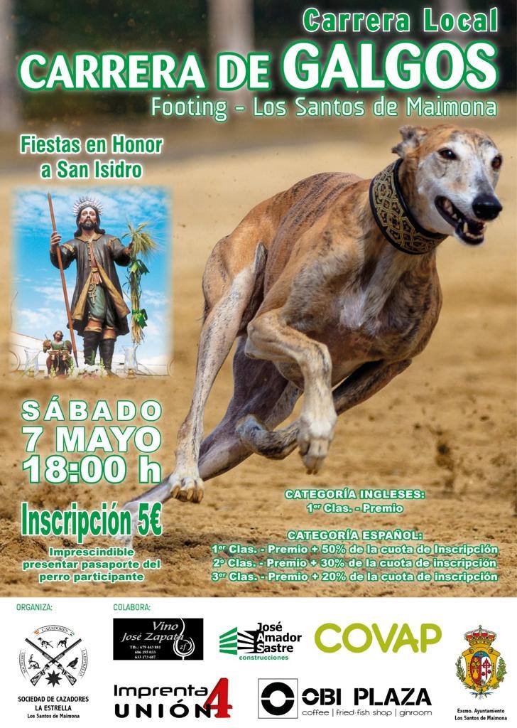 Carreras de galgos con motivo de San Isidro