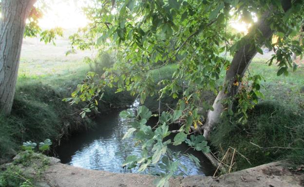 El Ayuntamiento paga más de 10.000 Euros a Confederación del Guadiana por vertidos ilegales
