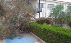 Las fuertes ráfagas de viento provocaron daños materiales en distintos puntos de la localidad