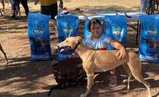 La perra 'Chaparra' de Sergio Duque, ganadora de las carreras de galgos de la Feria de Agosto